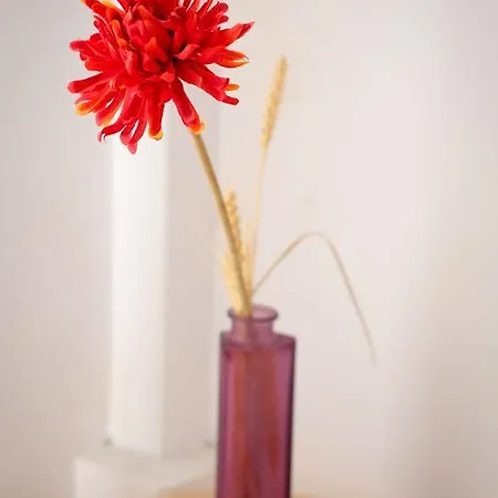 Pensiunea Anastasia Pensión 3*